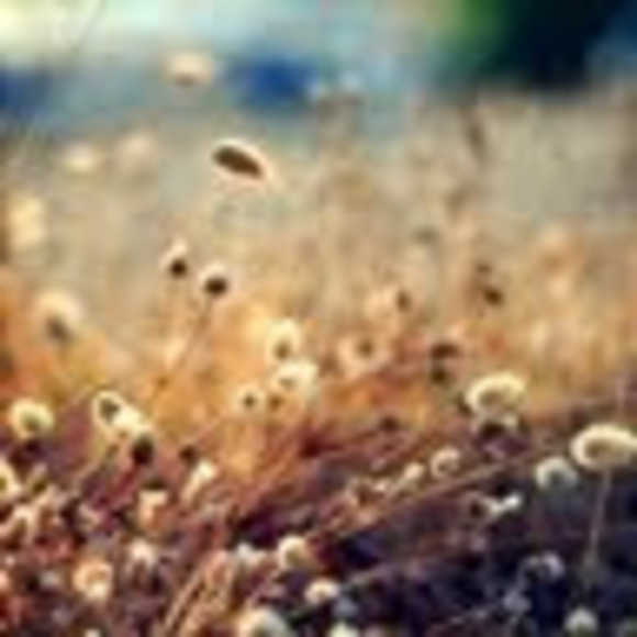 Meet your Posher, Jake - Picture 1 of 1